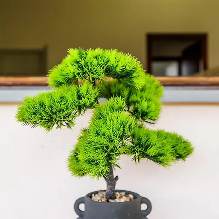 Dolce Casa 2 Apartmán *