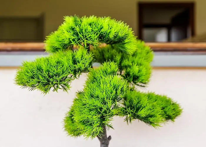 Dolce Casa 2 아파트 *